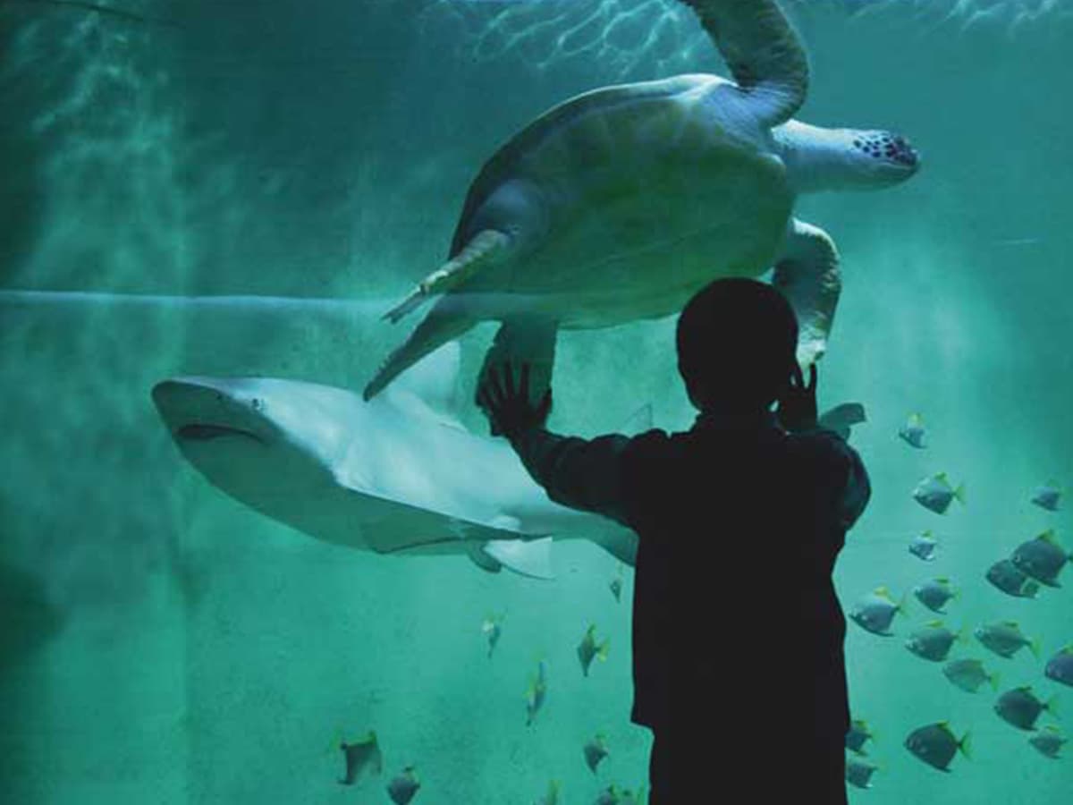 Le Grand Aquarium de Saint-Malo