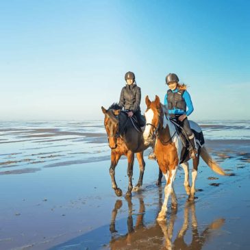 balade à cheval plage st malo balade à cheval plage st malo